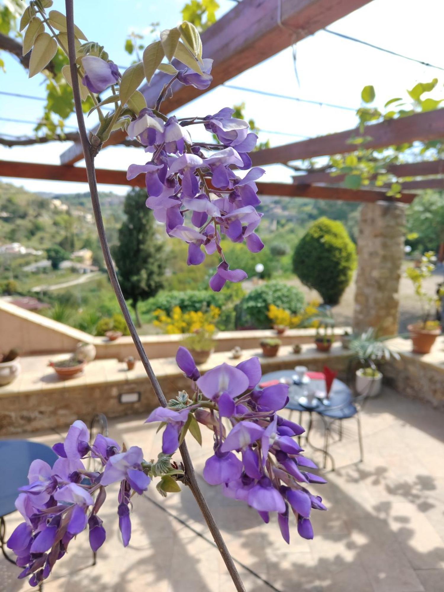 פיאצה ארמרינה Panorama Suite מראה חיצוני תמונה
